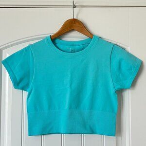 Offline by Aerie sidewalk seamless cropped t-shirt